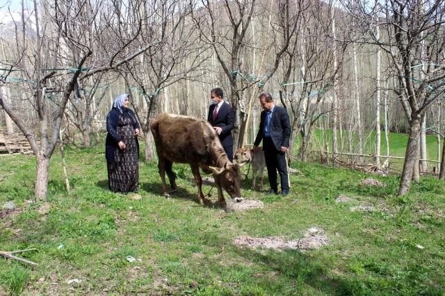 Son dakika haberleri! Bakan Pakdemirli'den, Diyarbakır annesine inek ve buzağı