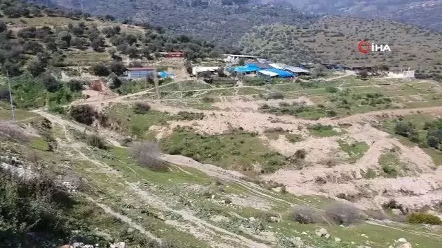 Bozdoğan'da kesilen zeytin ağaçları için vatandaşlar tepkili Bozdoğan'da kesilen zeytin ağaçları için vatandaşlar tepkili