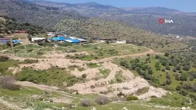 Bozdoğan'da kesilen zeytin ağaçları için vatandaşlar tepkili Bozdoğan'da kesilen zeytin ağaçları için vatandaşlar tepkili