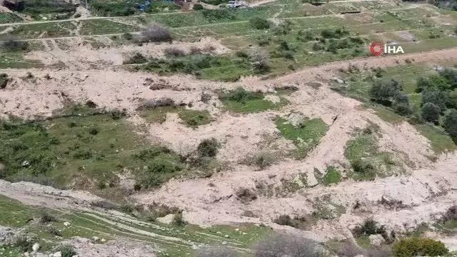 Bozdoğan'da kesilen zeytin ağaçları için vatandaşlar tepkili Bozdoğan'da kesilen zeytin ağaçları için vatandaşlar tepkili