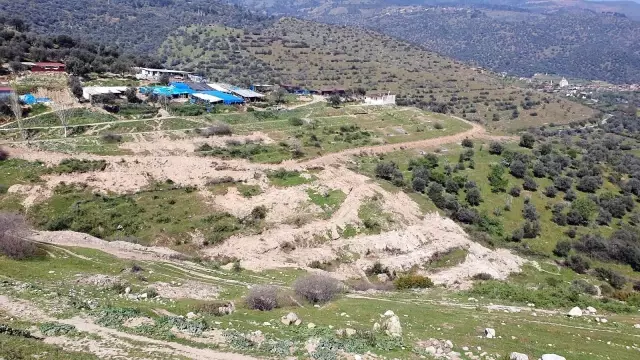 Bozdoğan'da kesilen zeytin ağaçları için vatandaşlar tepkili Bozdoğan'da kesilen zeytin ağaçları için vatandaşlar tepkili