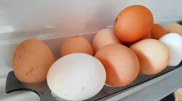 Buzdolabında 'bakteri' tehlikesi Buzdolabında 'bakteri' tehlikesi