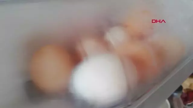 Buzdolabında 'bakteri' tehlikesi Buzdolabında 'bakteri' tehlikesi
