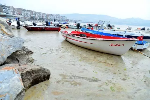 Son dakika haberleri: GEMLİK SAHİLİ, PLANKTON PATLAMASI İLE BEMBEYAZ OLDU Son dakika haberleri: GEMLİK SAHİLİ, PLANKTON PATLAMASI İLE BEMBEYAZ OLDU