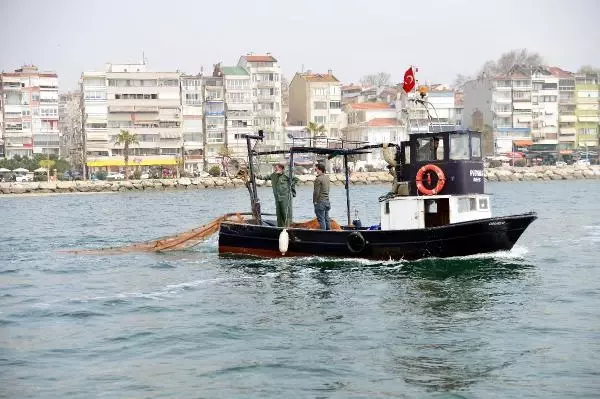 Son dakika haberleri: GEMLİK SAHİLİ, PLANKTON PATLAMASI İLE BEMBEYAZ OLDU Son dakika haberleri: GEMLİK SAHİLİ, PLANKTON PATLAMASI İLE BEMBEYAZ OLDU