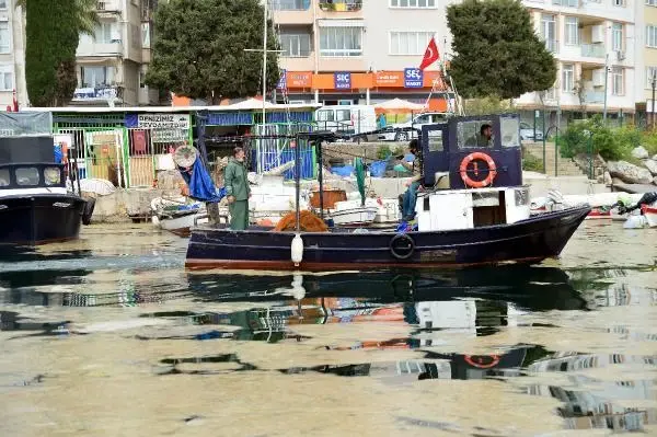 Son dakika haberleri: GEMLİK SAHİLİ, PLANKTON PATLAMASI İLE BEMBEYAZ OLDU Son dakika haberleri: GEMLİK SAHİLİ, PLANKTON PATLAMASI İLE BEMBEYAZ OLDU