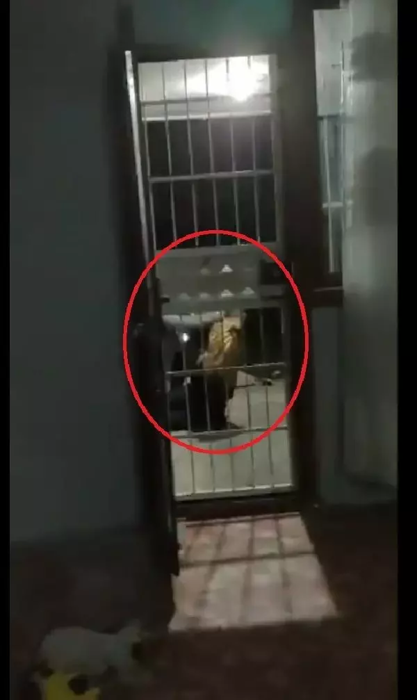 'Her şeyi göze alıyorum' diyerek yerde tekmelediği İran uyruklu mimar kadını dakikalarca darbetti (2)- Yeniden 'Her şeyi göze alıyorum' diyerek yerde tekmelediği İran uyruklu mimar kadını dakikalarca darbetti (2)- Yeniden