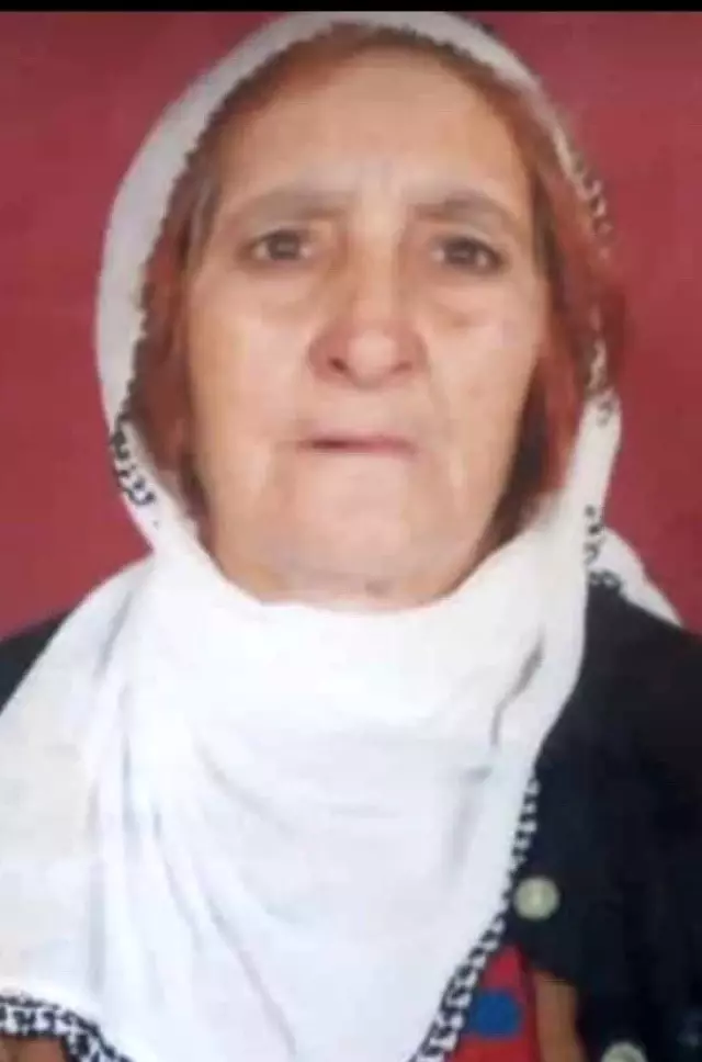 Son dakika! Sıkıştığı kayalıkların arasından kurtarılan yaşlı kadın hastanede hayatını kaybetti