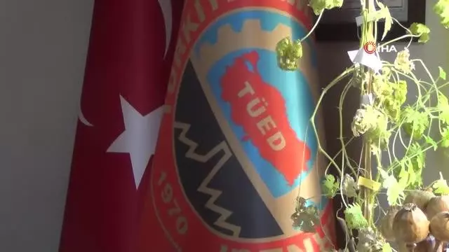 Onlar için özel termal otel yapılacak Onlar için özel termal otel yapılacak