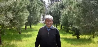 Sahra: Son dakika haber: Prof. Dr. Yaşar: Türkiye'ye hafta sonu Sahra Çölü'nden toz taşınımı var Sahra: Son dakika haber: Prof. Dr. Yaşar: Türkiye'ye hafta sonu Sahra Çölü'nden toz taşınımı var