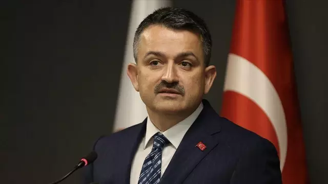 Son Dakika! Tarım ve Orman Bakanı Pakdemirli'nin de bulunduğu uçak arıza nedeniyle acil iniş yaptı Son Dakika! Tarım ve Orman Bakanı Pakdemirli'nin de bulunduğu uçak arıza nedeniyle acil iniş yaptı