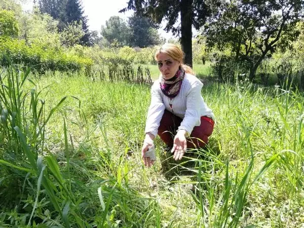 Ülkesindeki idamdan kaçtı, koca şiddetini yaşadı; ölümle tehdit edip, bahçeye mezar kazmış Ülkesindeki idamdan kaçtı, koca şiddetini yaşadı; ölümle tehdit edip, bahçeye mezar kazmış