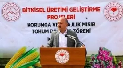 Ağrı'da Tohum Dağıtma Töreni düzenlendi Ağrı'da Tohum Dağıtma Töreni düzenlendi