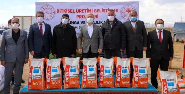Ağrı Valisi Varol'un katılımıyla düzenlenen törende çiftçilere korunga ve silajlık mısır tohumu dağıtıldı Ağrı Valisi Varol'un katılımıyla düzenlenen törende çiftçilere korunga ve silajlık mısır tohumu dağıtıldı