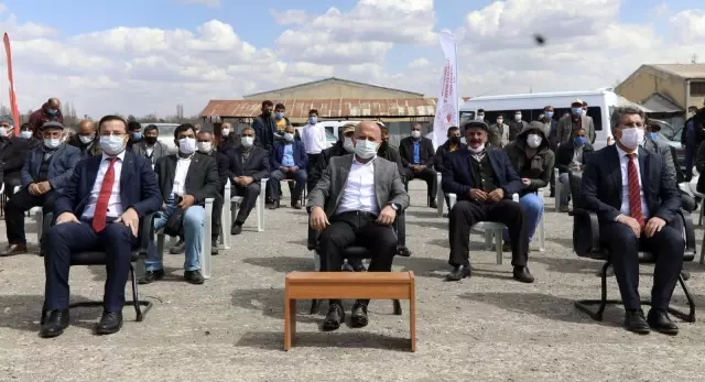 Ağrı Valisi Varol'un katılımıyla düzenlenen törende çiftçilere korunga ve silajlık mısır tohumu dağıtıldı Ağrı Valisi Varol'un katılımıyla düzenlenen törende çiftçilere korunga ve silajlık mısır tohumu dağıtıldı