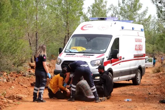Kayıp hemşirenin cesedi 17 gün sonra ağaca asılı bulundu, ağabey sinir krizleri geçirdi Kayıp hemşirenin cesedi 17 gün sonra ağaca asılı bulundu, ağabey sinir krizleri geçirdi