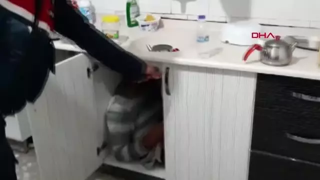 ANTALYA KUMAR BASKININDA MUTFAK DOLABINDA YAKALANDI ANTALYA KUMAR BASKININDA MUTFAK DOLABINDA YAKALANDI