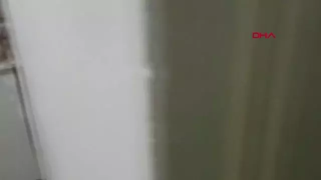 ANTALYA KUMAR BASKININDA MUTFAK DOLABINDA YAKALANDI ANTALYA KUMAR BASKININDA MUTFAK DOLABINDA YAKALANDI