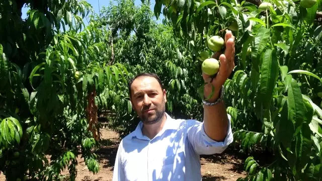 Bayramiç Beyazı Avrupa Birliği coğrafi işaret tesciline kavuştu Bayramiç Beyazı Avrupa Birliği coğrafi işaret tesciline kavuştu