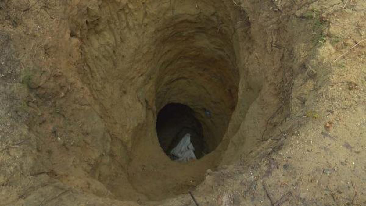 Belgrad Ormanı'nda define avcılarının açtığı devasa çukur görenleri hayrete düşürdü