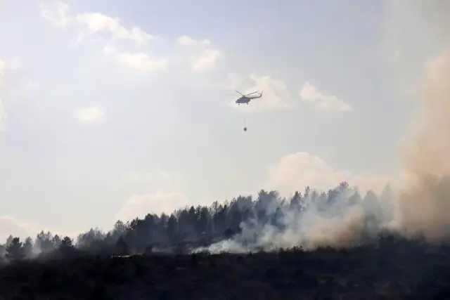 Bolu'da, yangında zarar gören 136 hektarlık alan ağaçlandırılacak Bolu'da, yangında zarar gören 136 hektarlık alan ağaçlandırılacak