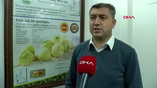 ÇANAKKALE BAYRAMİÇ BEYAZI, AVRUPA BİRLİĞİ'NDE TESCİLLENDİ- - YENİDEN ÇANAKKALE BAYRAMİÇ BEYAZI, AVRUPA BİRLİĞİ'NDE TESCİLLENDİ- - YENİDEN