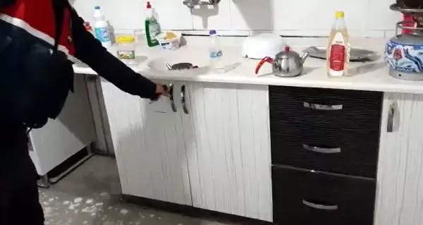 ANTALYA KUMAR BASKININDA MUTFAK DOLABINDA YAKALANDI ANTALYA KUMAR BASKININDA MUTFAK DOLABINDA YAKALANDI
