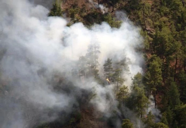 Muğla'nın iki ilçesinde ormanlık alanlarda yangın çıktı