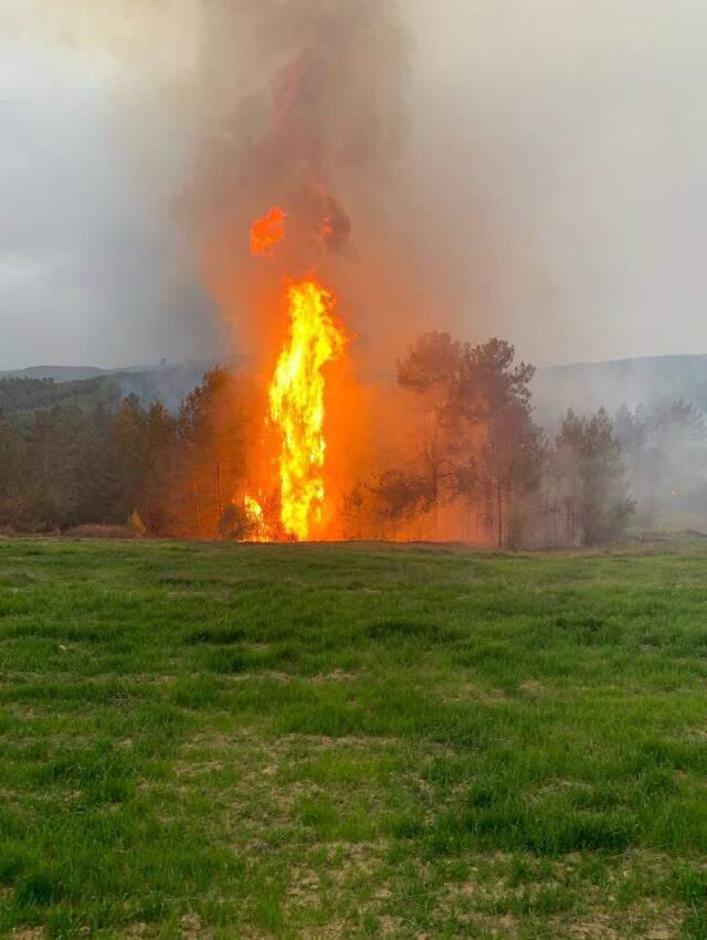 Muğla'nın iki ilçesinde ormanlık alanda yangın çıktı Muğla'nın iki ilçesinde ormanlık alanda yangın çıktı