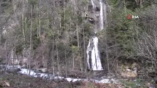 Artvin'de kaderine terk edilmiş tarihi kaplıca ilgi bekliyor