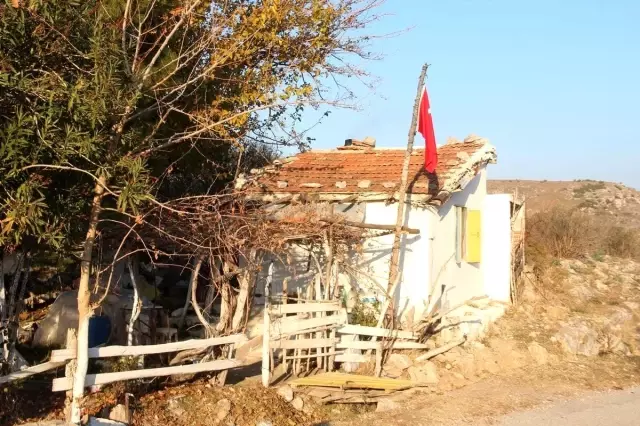 Bafa'nın kıyısından bir cambaz geçti