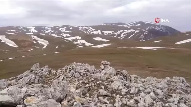 Baharın ve yazın habercisi beyaz kardelenler çiçek açtı Baharın ve yazın habercisi beyaz kardelenler çiçek açtı
