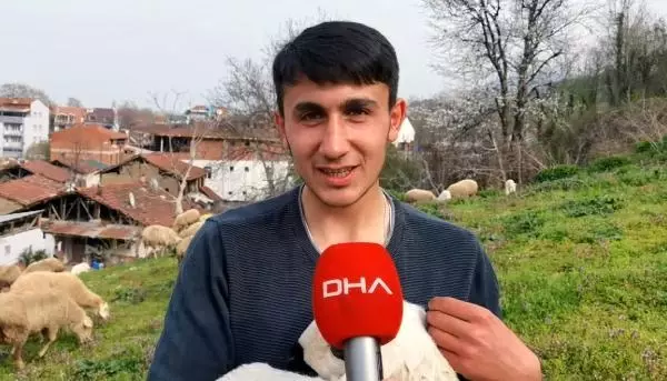 Çoban köpeği, kuzunun 'süt annesi' Çoban köpeği, kuzunun 'süt annesi'