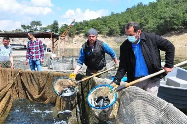 Denizi olmayan Manisa dünyanın dört bir yanına balık gönderiyor! 1 milyon dolarlık kazanç kapısı Denizi olmayan Manisa dünyanın dört bir yanına balık gönderiyor! 1 milyon dolarlık kazanç kapısı