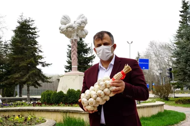Dünyaca ünlü Taşköprü sarımsağı, AB'de coğrafi işaretle tescillendi Dünyaca ünlü Taşköprü sarımsağı, AB'de coğrafi işaretle tescillendi