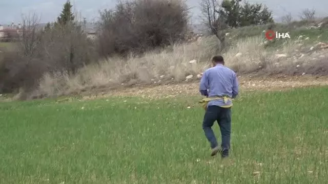 Dünyaca ünlü Taşköprü sarımsağı, AB'de coğrafi işaretle tescillendi Dünyaca ünlü Taşköprü sarımsağı, AB'de coğrafi işaretle tescillendi