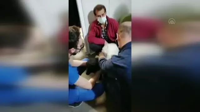 Kuzusu hastalanan vatandaş veteriner bulamayınca hastaneye gitti Kuzusu hastalanan vatandaş veteriner bulamayınca hastaneye gitti