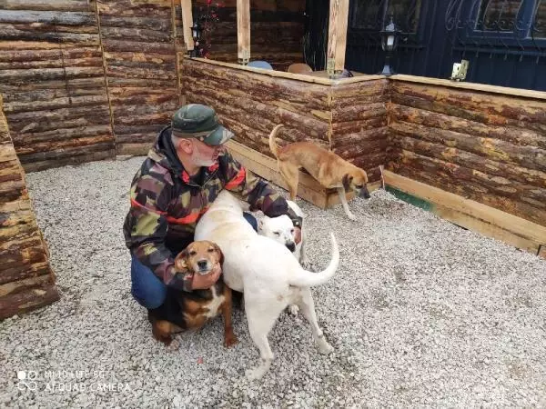 ŞİLE'DE KÖPEK ÇALAN İKİ SANIĞA 5 YIL 2 AY 15 GÜN HAPİS CEZASI ŞİLE'DE KÖPEK ÇALAN İKİ SANIĞA 5 YIL 2 AY 15 GÜN HAPİS CEZASI