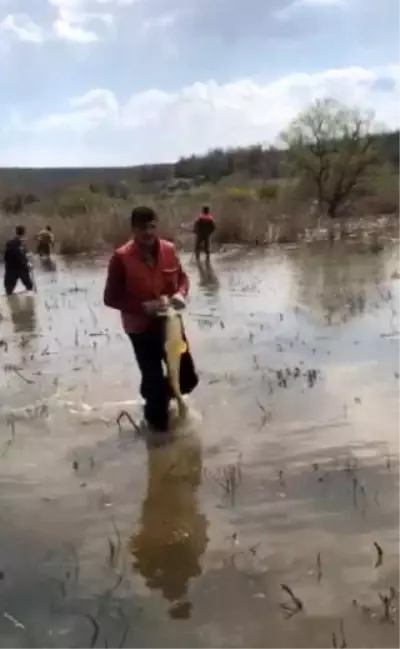 Terkos Gölü'nde yasa dışı balık avına 14 bin lira ceza