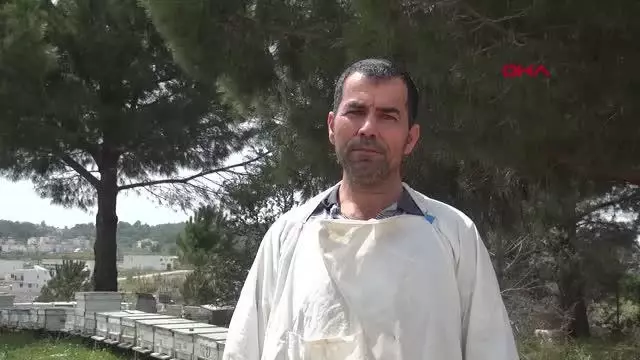ARI KOVANLARININ YAKILMAK İSTENDİĞİ İDDİASI ARI KOVANLARININ YAKILMAK İSTENDİĞİ İDDİASI