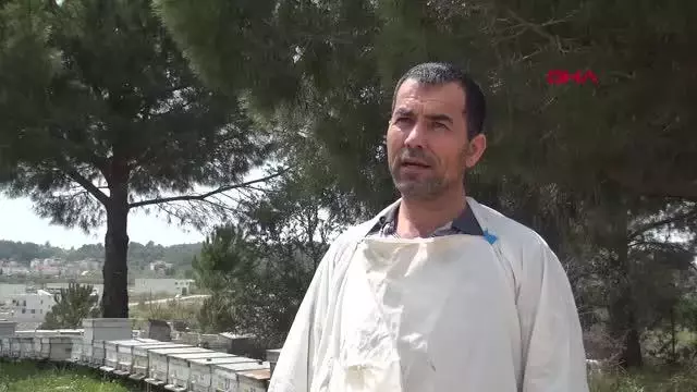 ARI KOVANLARININ YAKILMAK İSTENDİĞİ İDDİASI ARI KOVANLARININ YAKILMAK İSTENDİĞİ İDDİASI