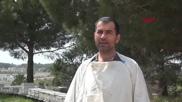 ARI KOVANLARININ YAKILMAK İSTENDİĞİ İDDİASI ARI KOVANLARININ YAKILMAK İSTENDİĞİ İDDİASI