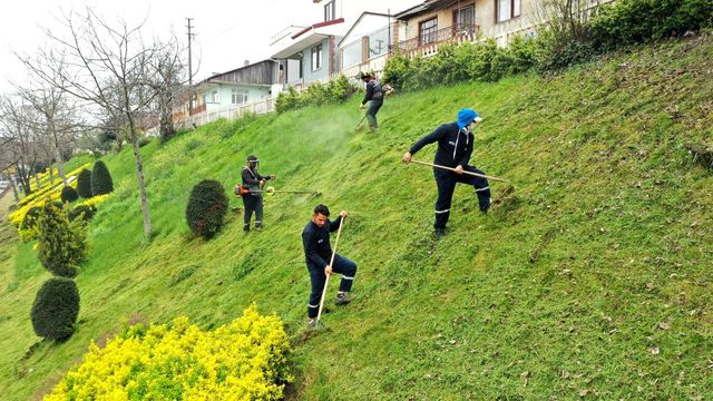 basiskele de yesil alanlar yaza hazirlaniyor 3 14076054 o