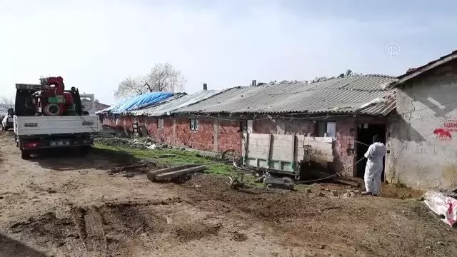 Çubuk'ta ahır ve kümeslerde dezenfekte çalışmaları Çubuk'ta ahır ve kümeslerde dezenfekte çalışmaları