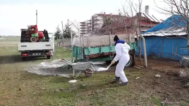 Çubuk'ta ahır ve kümeslerde dezenfekte çalışmaları Çubuk'ta ahır ve kümeslerde dezenfekte çalışmaları