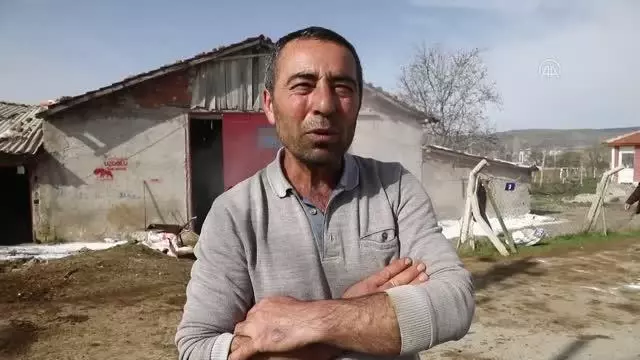 Çubuk'ta ahır ve kümeslerde dezenfekte çalışmaları Çubuk'ta ahır ve kümeslerde dezenfekte çalışmaları