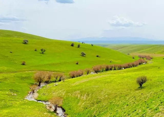 Hem çiçek topladılar, hem karın tadını çıkardılar Hem çiçek topladılar, hem karın tadını çıkardılar