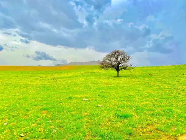 Hem çiçek topladılar, hem karın tadını çıkardılar Hem çiçek topladılar, hem karın tadını çıkardılar