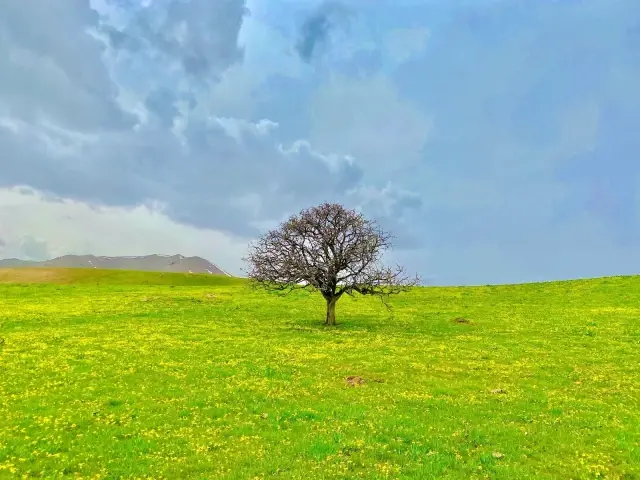 Hem çiçek topladılar, hem karın tadını çıkardılar Hem çiçek topladılar, hem karın tadını çıkardılar