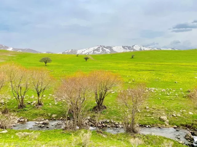 Hem çiçek topladılar, hem karın tadını çıkardılar Hem çiçek topladılar, hem karın tadını çıkardılar